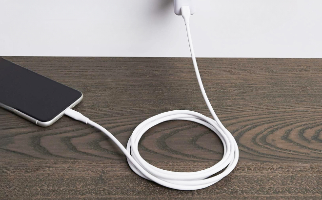 Amazon Basics 3 Foot iPhone Lightning Cable