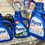 Hand Holding Purex Liquid Laundry Detergent with Two More Detergents in Cart