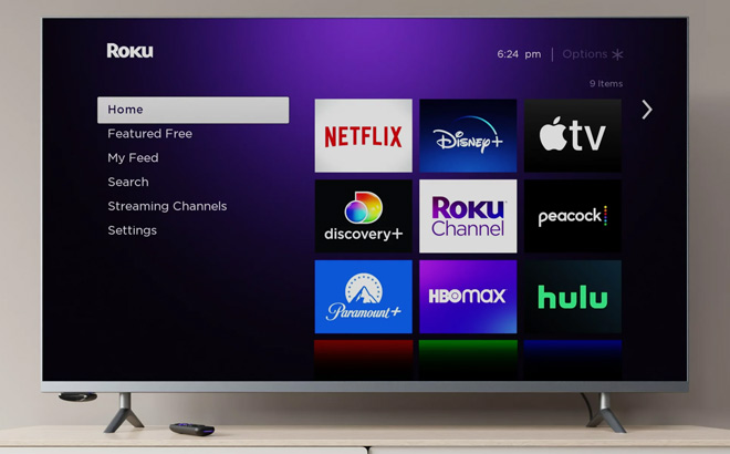 Roku Streaming Media Platform on the TV