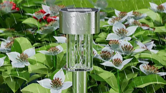 Solar Outdoor Waterproof LED Lights