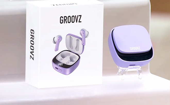 Wireless Earbuds with Charging Case Winter Lavender