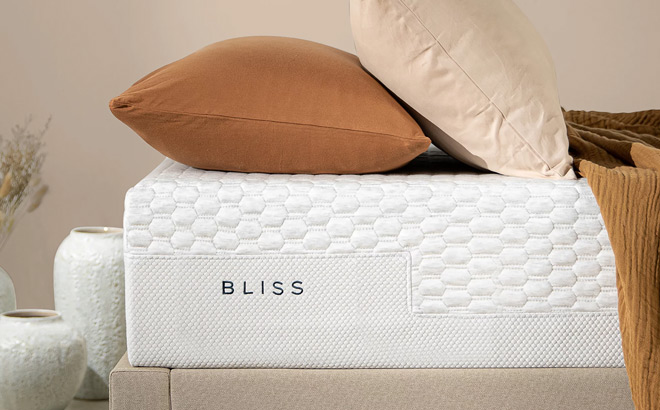 Zinus 10 inch Bliss Memory Foam Mattress on Bed