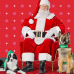 an Image of a Person Dressed as Santa Claus and Two Dogs