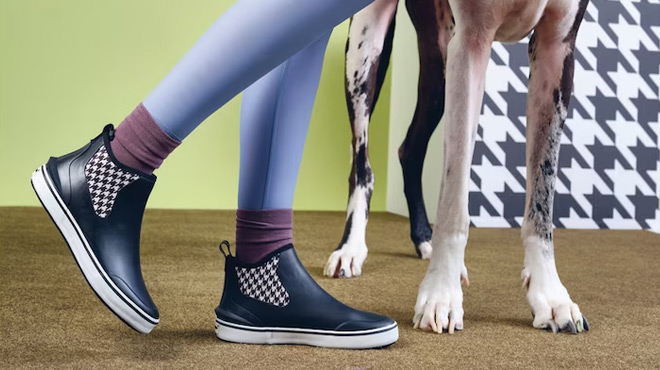 A Person Wearing a Hush Puppies Chelsea Rain Boots in Black Color Standing Beside a Dog