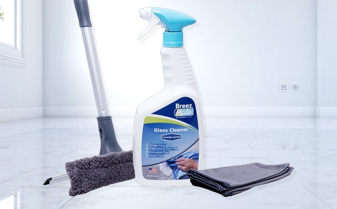 BreezMate Foaming Glass Cleaning Kit