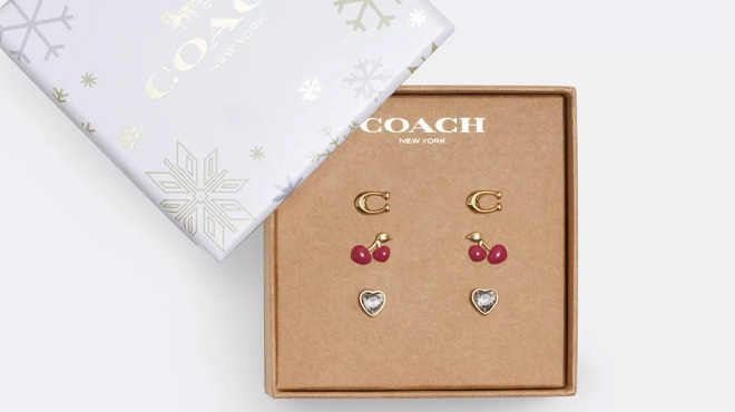 Coach Outlet Signature Cherry Heart Earrings Set