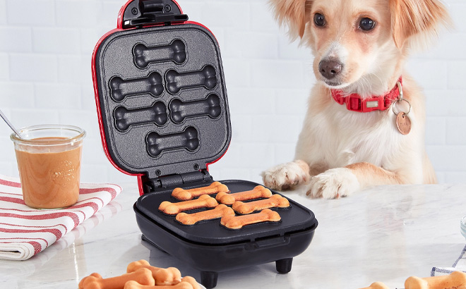 https://www.freestufffinder.com/wp-content/uploads/2023/12/Dash-Mini-Dog-Treat-Maker-on-the-Table.jpg