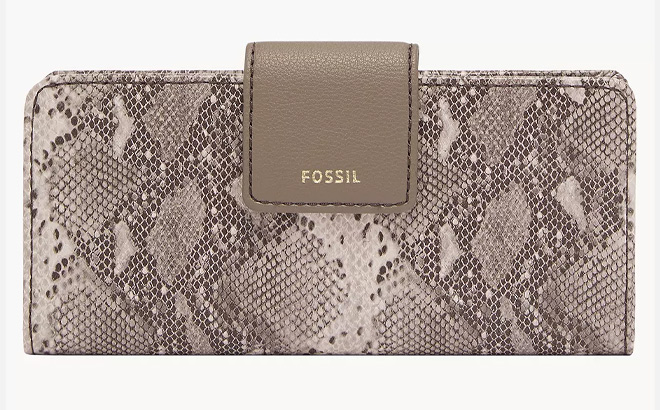 Fossil Snake Color Wallet