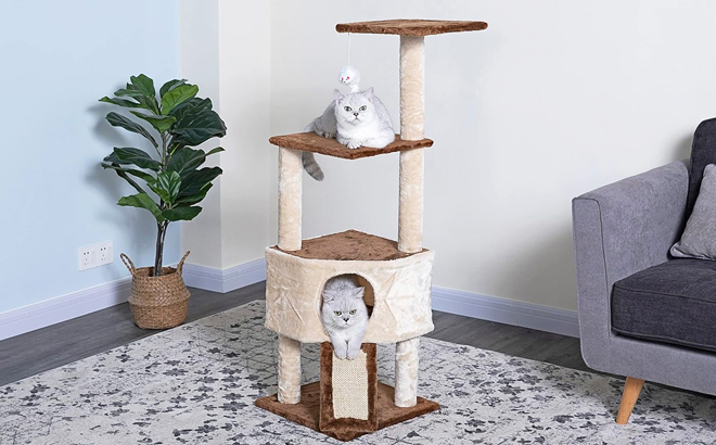 Go Pet Club 46 Inch Kitten Tree with cats