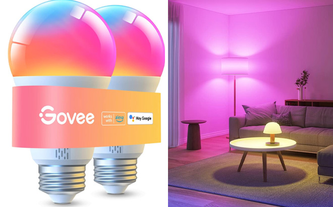 Govee Smart A19 LED Light Bulbs 2 Pack