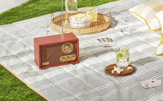 Hearth Hand with Magnolia Portable Bluetooth Radio Tonal Brown