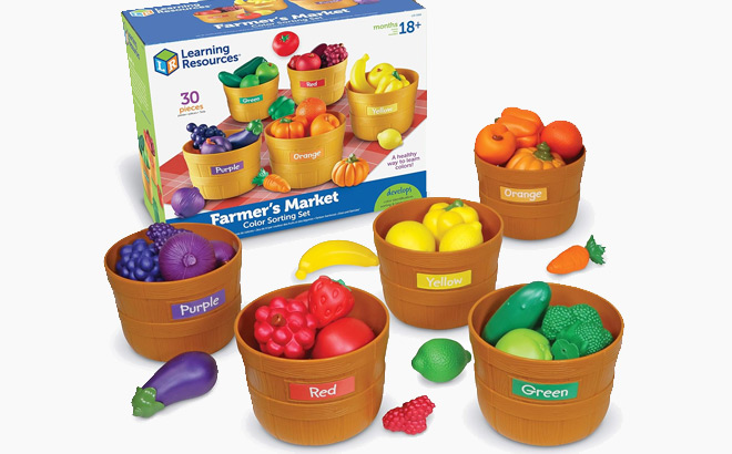 Learning Resources Color Sorting Toy