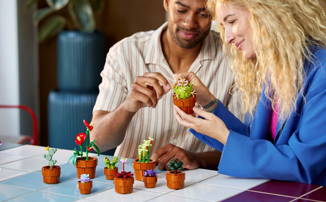 Man and Woman are Holding LEGO Tiny Plant