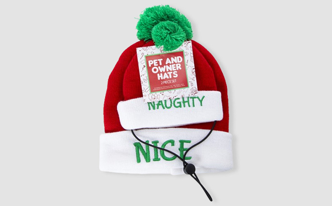 Matching Pet Owner Christmas Beanie Hats Set