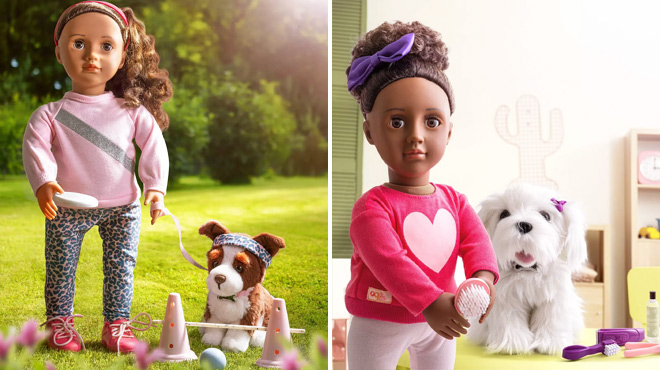 Our Generation Doll Pet Training Set