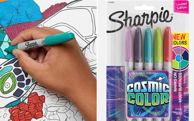 Sharpie Permanent Markers 5 Count