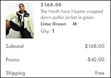 The North Face Puffer Jacket Checkout