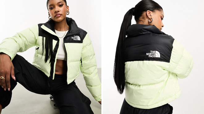 The North Face Puffer Jackets