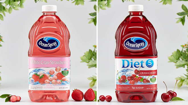 Two Different Flavors of Ocean Spray Cranberry Juice Drinks