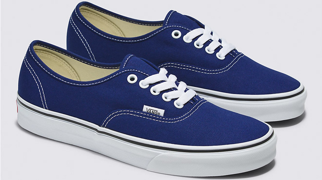 Vans Authentic Shoes in Beacon Blue