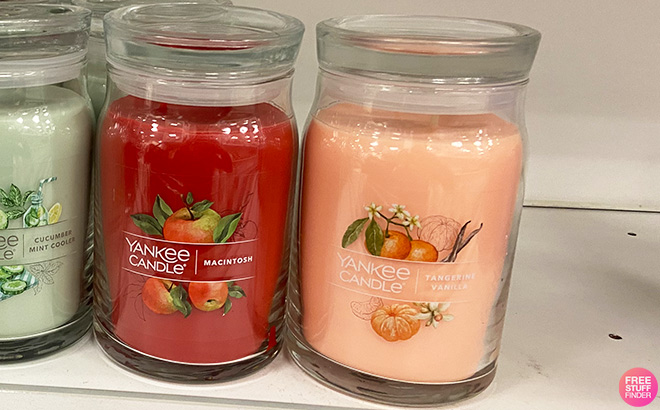 Yankee Candle Tangerine Vanilla Signature Large Candle Jar in Store