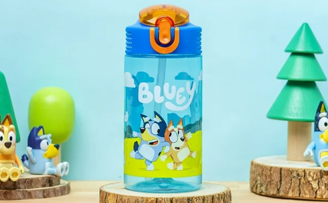 https://www.freestufffinder.com/wp-content/uploads/2023/12/Zak-Designs-Bluey-Kids-Water-16oz-Bottle-2-Pack.jpg