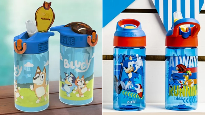 Zak Designs Bluey Kids Water Bottle 2 Pack and Sonic the Hedgehog bottles