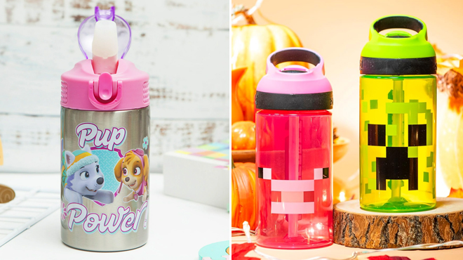 Zak Designs Paw Patrol Skye Stainless Steel Water Bottle and Zak Designs Minecraft Kids Water Bottle with Straw