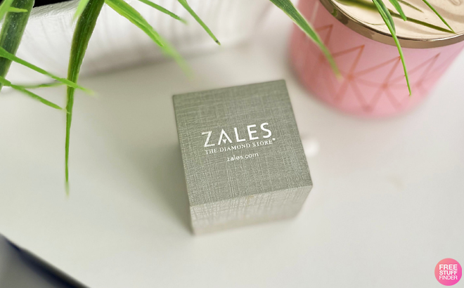 Zales Jewelry Box