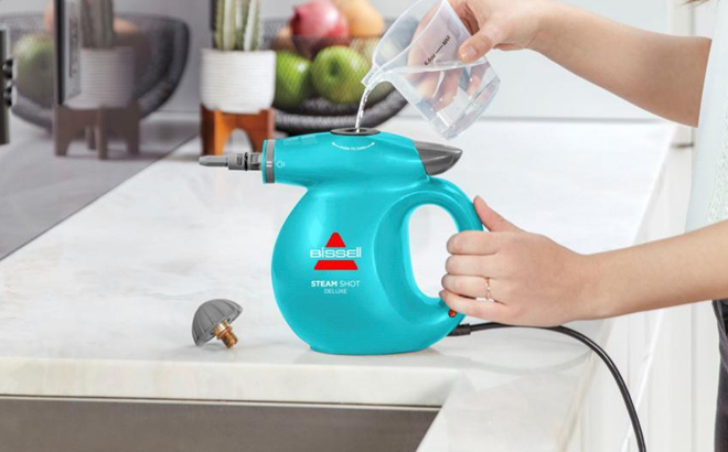 a Hand Holding a Bissell Handheld Steamer with Tool Kit