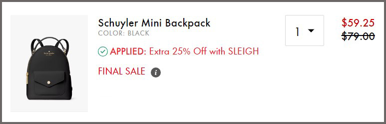 Kate Spade Mini Backpack Summary