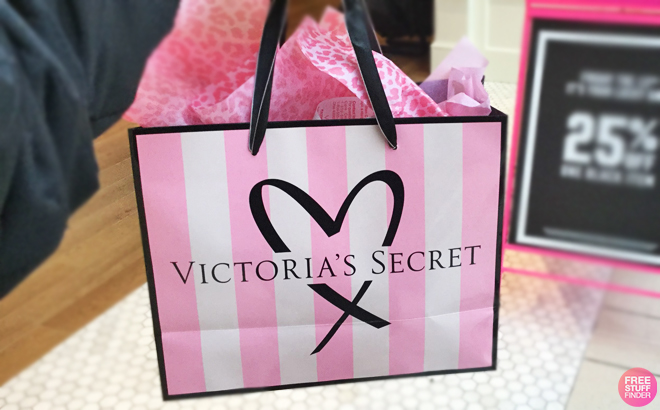 A Person Holding A Victorias Secret Shopping Bag