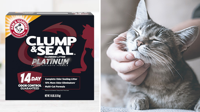 Arm Hammer Clump Seal Platinum Cat Litter 18 Lbs on the Left and a Cat on the Right