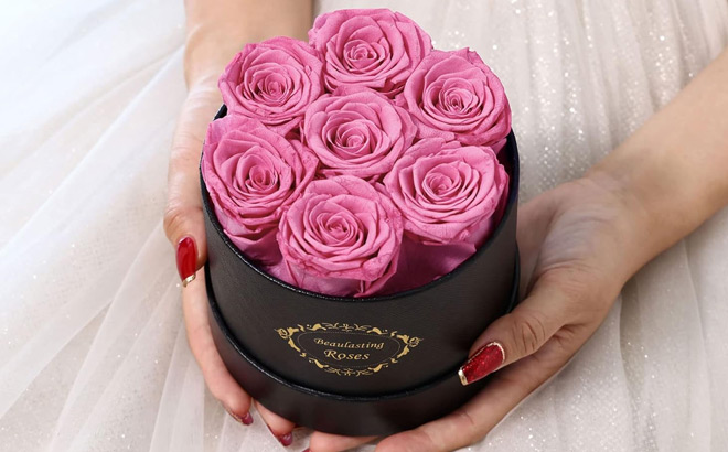 Beaulasting Preserved Pink Roses in a Box