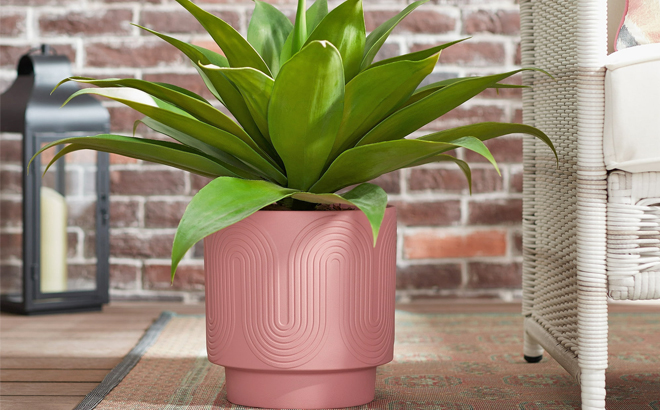 Better Homes Gardens Pottery Amy Wave Ceramic Planter in Pink