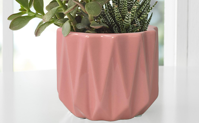 Better Homes Gardens Pottery Devi Round Ceramic Planter in Pink