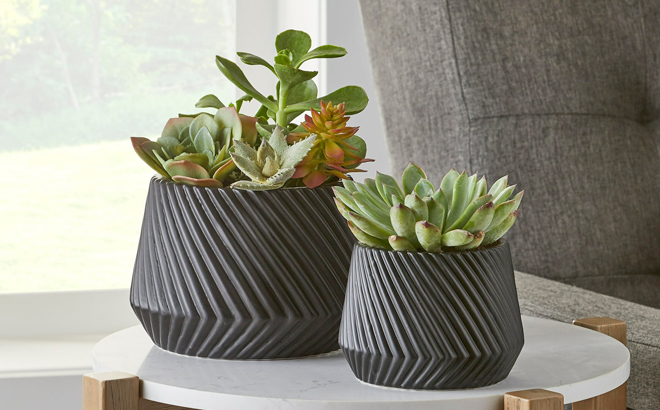 Better Homes and Gardens 6 inch Black Ceramic Ridge Planter