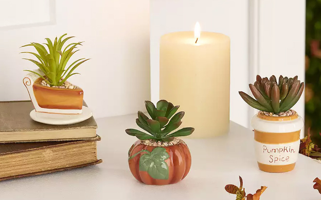 Celebrate Together Fall Succulent Pot Trio Home Decor