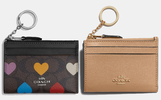 Coach Outlet Mini Skinny Signature Canvas With a Heart Print