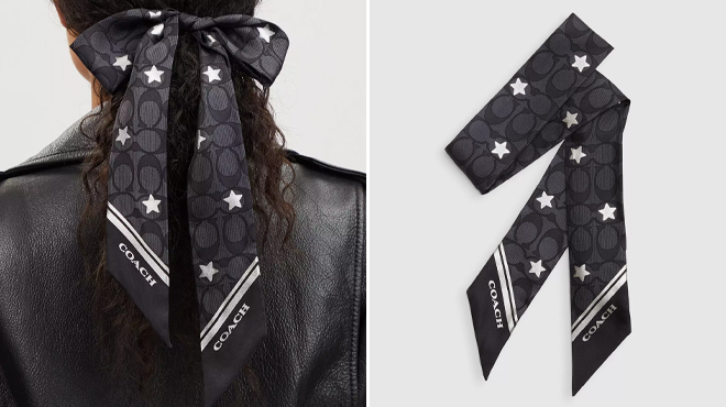 Coach Outlet Signature Twinkle Star Print Silk Skinny Scarves