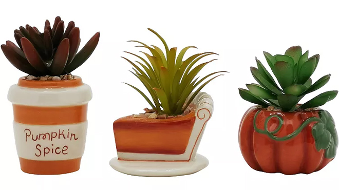 Fall Succulent Pot Trio Home Decor