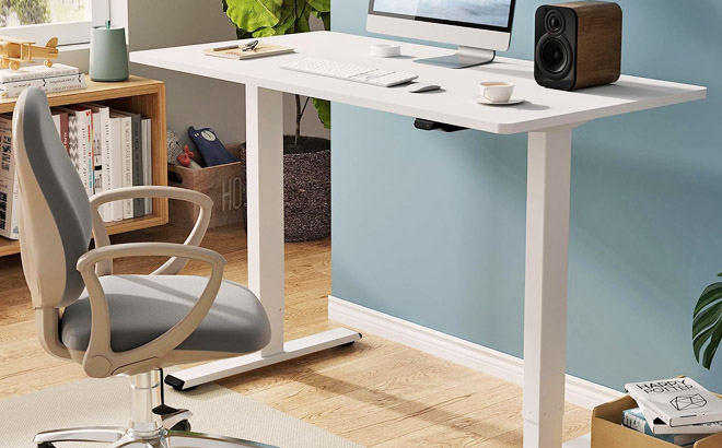 Flexispot Electric Standing Desk