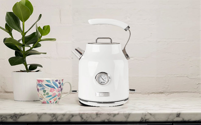 Haden Dorset Electric Kettle