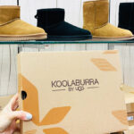 Hand Holding a Koolaburra by UGG Box