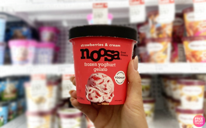 Hand Holding a Noosa Strawberries and Cream Frozen Yogurt Gelato