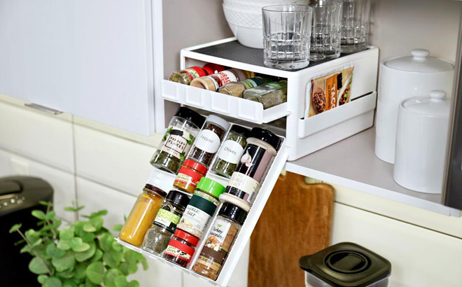 Kamenstein Spice Organizer with Labels