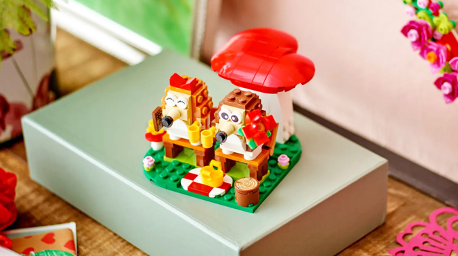 LEGO Hedgehog Picnic Date