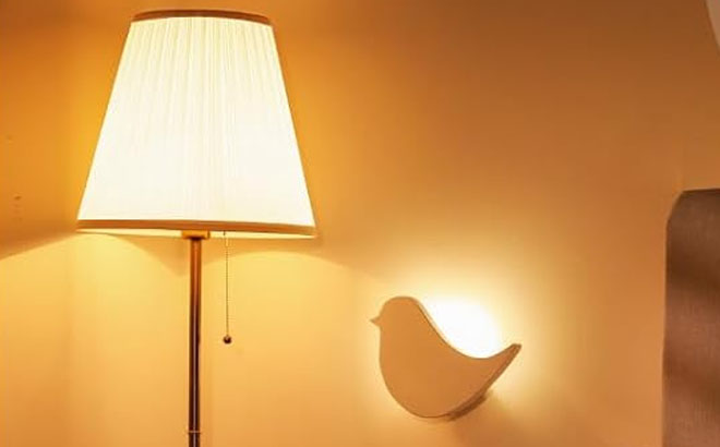 Lamp Shade with Smart Light Bulb