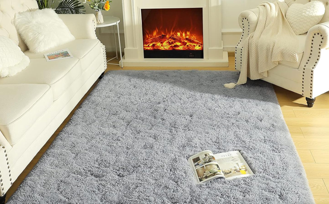 Lochas 3x5 Ultra Soft Fluffy Area Rug