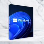 Microsoft Windows 11 Professional License